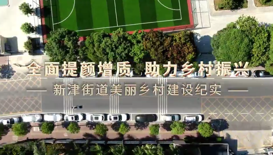 全面提顏增質，助力鄉村振興——新津街道美麗鄉村建設紀實