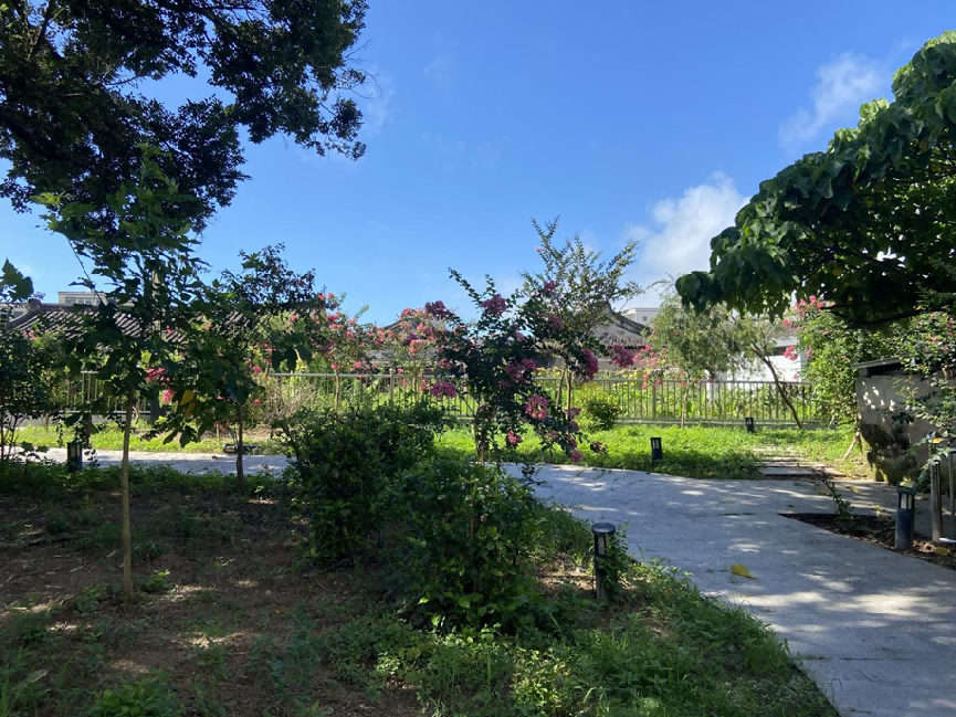 【百千萬工程】新海街道：答好“四道題”，擦亮“新底色”.docx_3