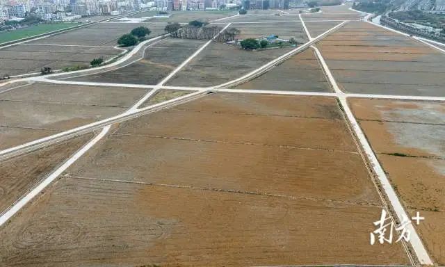 龍湖區河濱高地智慧農業種植提升項目已完成地塊清表和表土剝離工作。 龍湖區河濱高地智慧農業種植提升項目已完成地塊清表和表土剝離工作。
