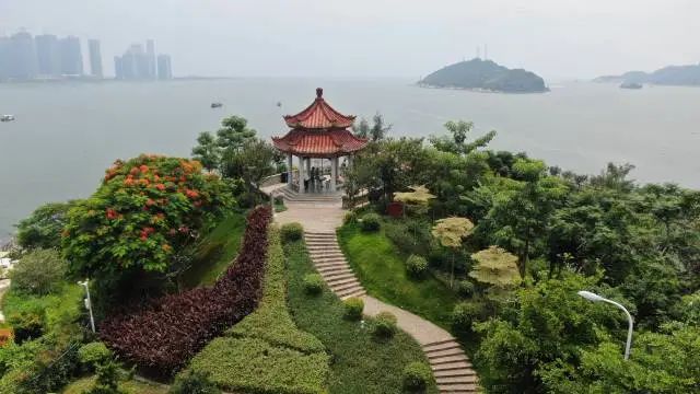 小島的森林覆蓋率升至72% 圖片